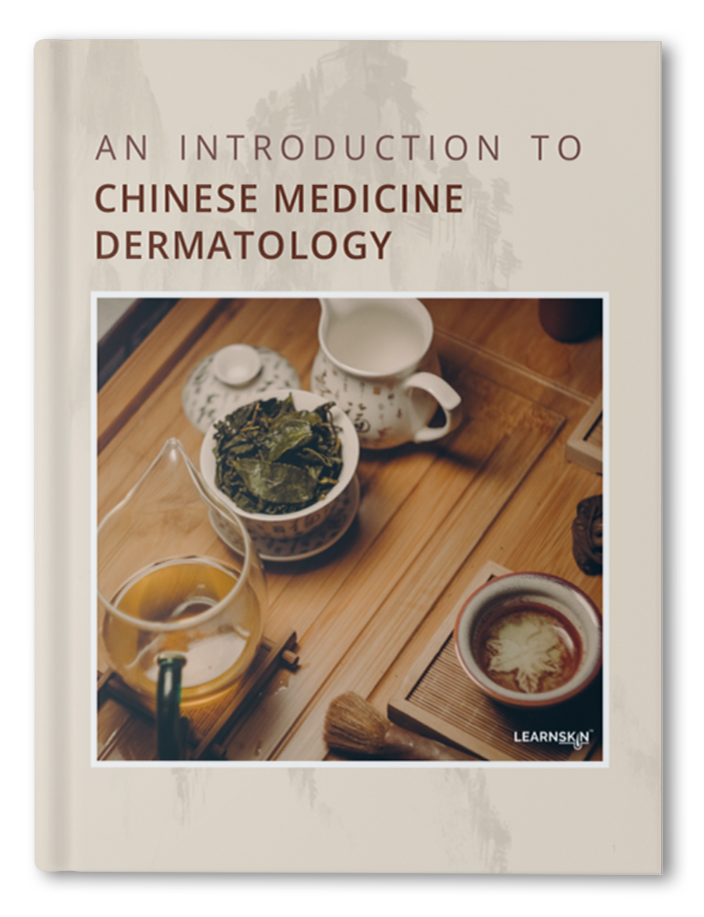 An Introduction to Chinese Medicine Dermatology Ebook